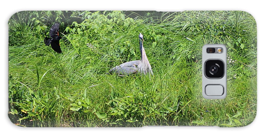 Marsh Galaxy S8 Case featuring the photograph Annoyed - Heron and Red Winged Blackbird 1 of 10 by Colleen Cornelius