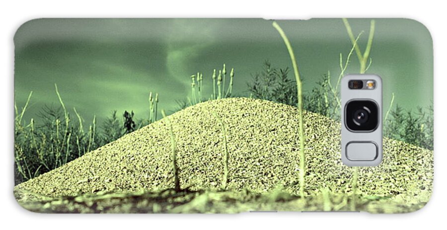 Digital Altered Photo Galaxy Case featuring the photograph Ant Returns Home After a Long Day by Tim Richards