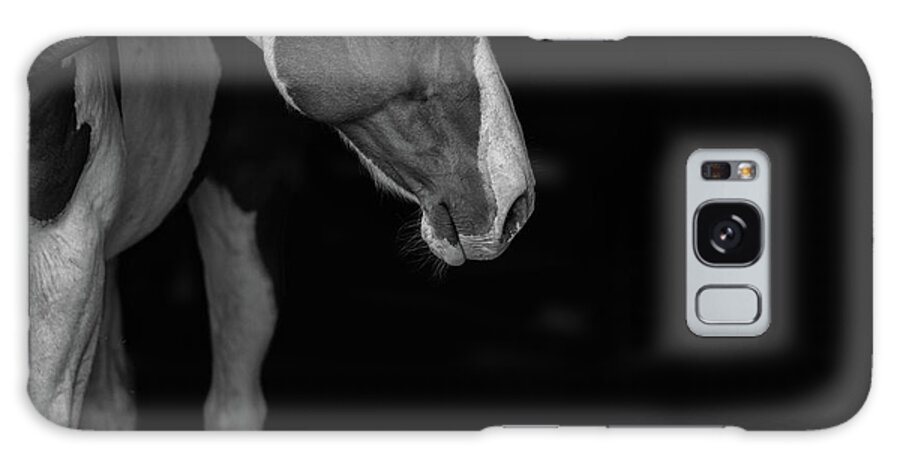 Horse Galaxy Case featuring the photograph Apache in Black and White - Three Bars Ranch by Ryan Courson