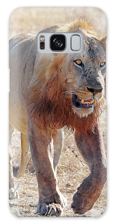 Lion Galaxy Case featuring the photograph Approaching Lion by Ted Keller