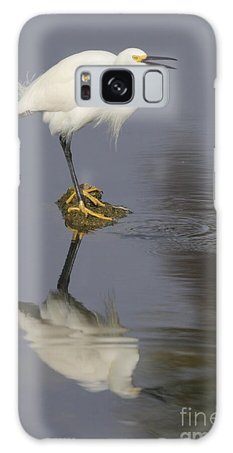Egret Galaxy Case featuring the photograph Are You Listening To Me by Deborah Benoit