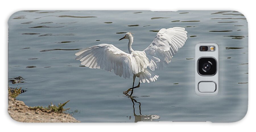 Bird Galaxy Case featuring the photograph Are You Ready To Dance - Great Egret in Mtn View CA by Michael Bessler
