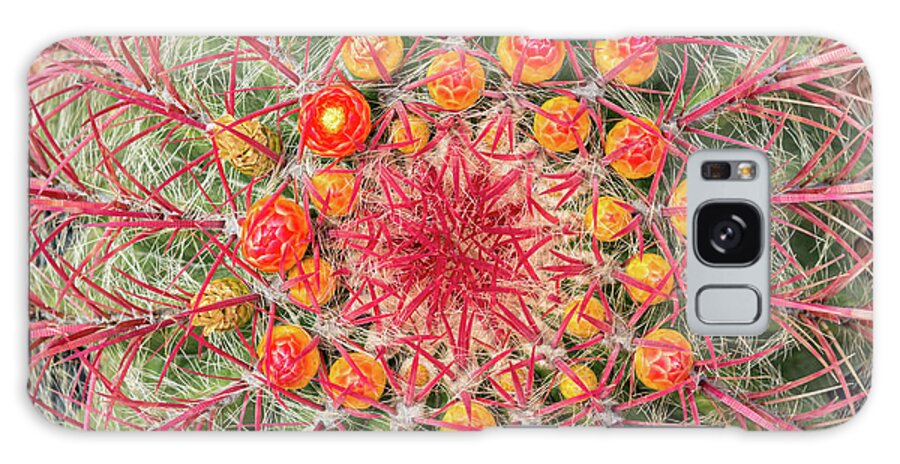 Cactus Galaxy Case featuring the photograph Arizona barrel cactus by Delphimages Photo Creations