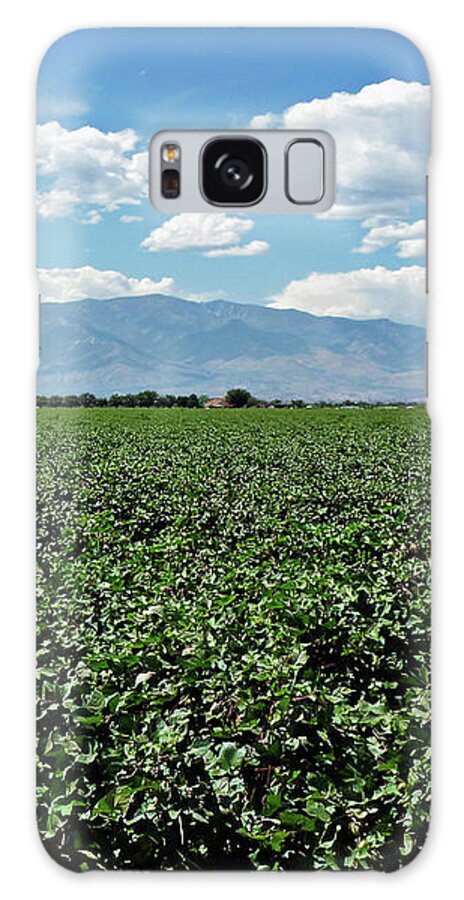 Arizona Cotton Field Galaxy Case featuring the photograph Arizona Cotton Field by Two Hivelys