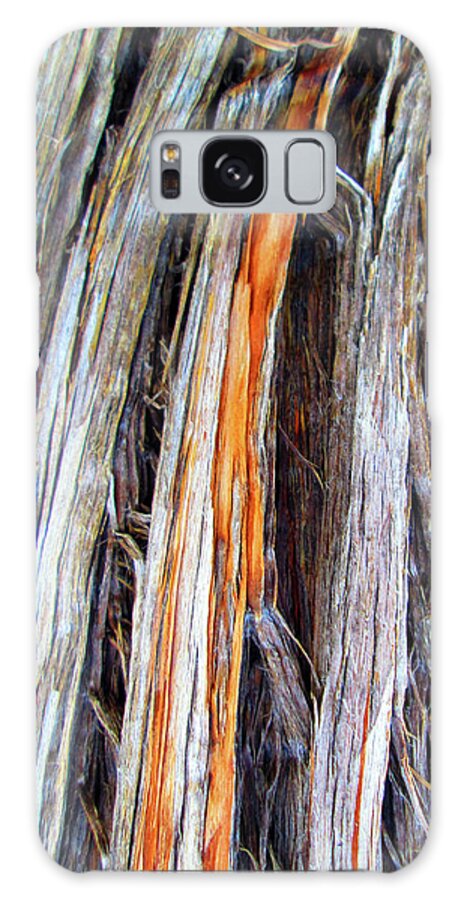 Arizona Galaxy Case featuring the photograph Arizona Desert Tree Texture by Ilia -