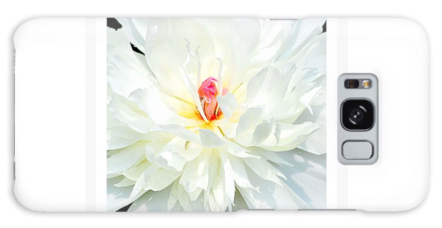 Art Galaxy Case featuring the photograph White Peony I by Joan Han