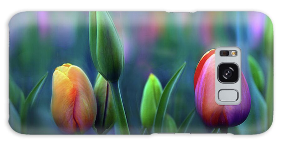 Tulips Galaxy Case featuring the photograph Breezy by Jessica Jenney