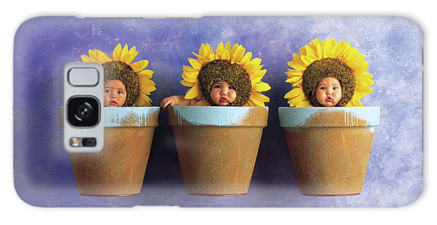 Sunflower Galaxy Case featuring the photograph Sunflower Pots by Anne Geddes