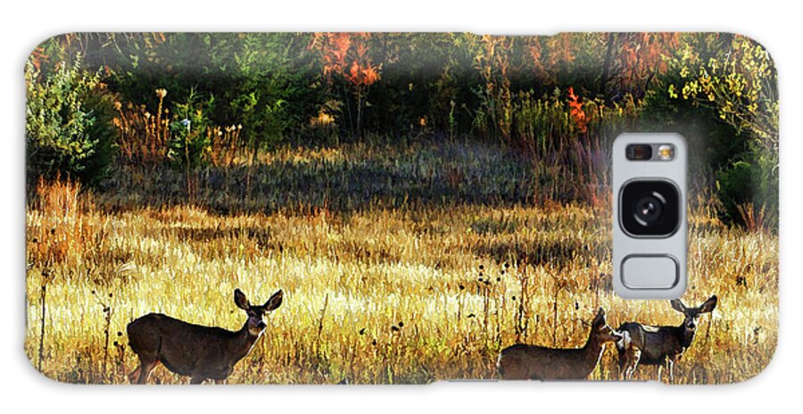 Bill Kesler Photography Galaxy S8 Case featuring the photograph Deer Autumn by Bill Kesler