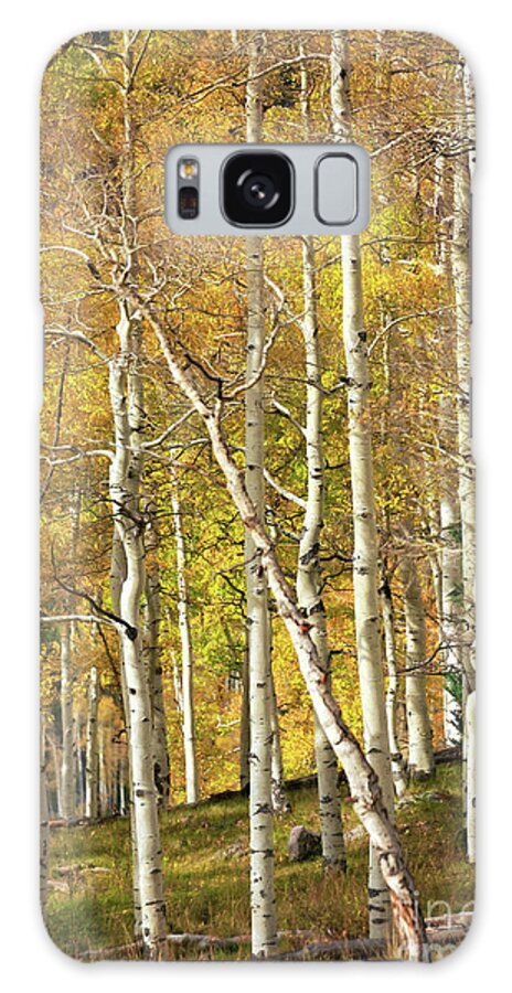 Aspen Galaxy Case featuring the photograph Aspen Forest by Doug Sturgess