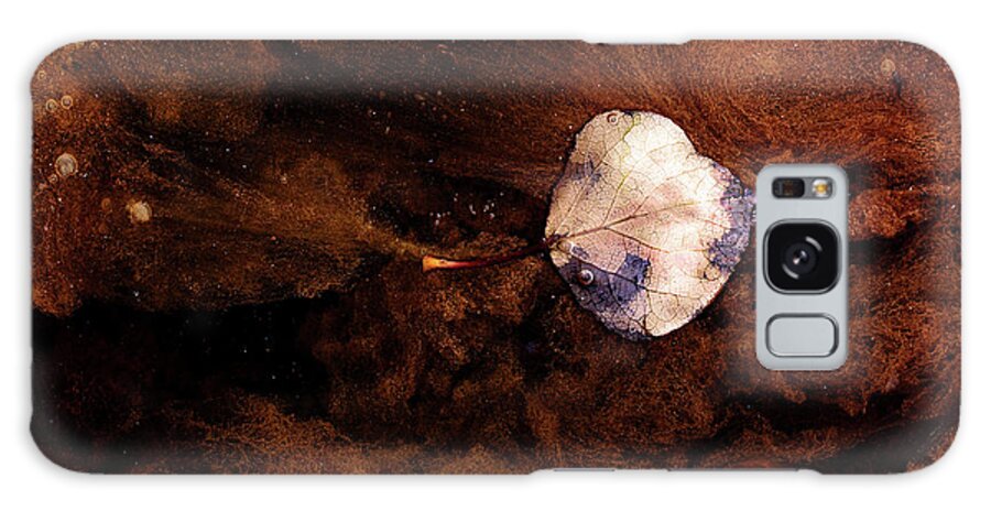 Aspen Leaf In Mud Wash Galaxy Case featuring the photograph Aspen Leaf in Mud Wash by Natalie Dowty