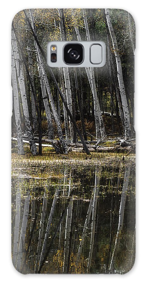Arizona Galaxy Case featuring the photograph Aspen Reflection by Michael Newberry