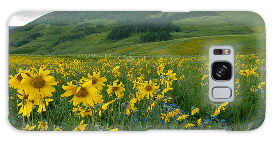 Wildflower Galaxy Case featuring the photograph Aspen Sunflower and Mountain Landscape by Cascade Colors