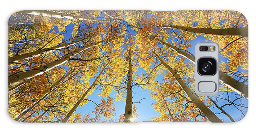 Aspen Galaxy Case featuring the photograph Aspen Tree Canopy 2 by Ron Dahlquist - Printscapes
