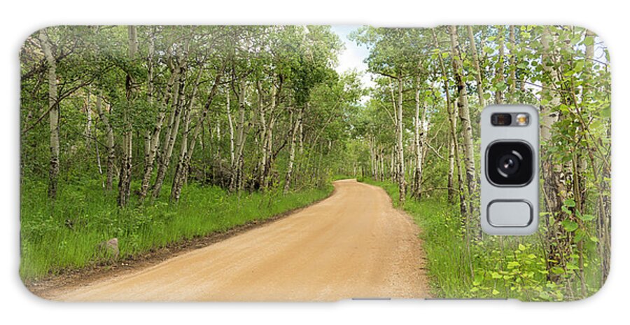 Aspen Trees Galaxy Case featuring the photograph Dirt Road With Aspen Trees by Tom Potter
