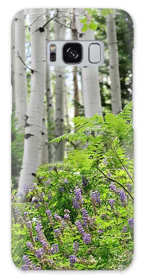 Aspen Galaxy Case featuring the painting Aspens Ferns and Flowers 2 by Constance Woods