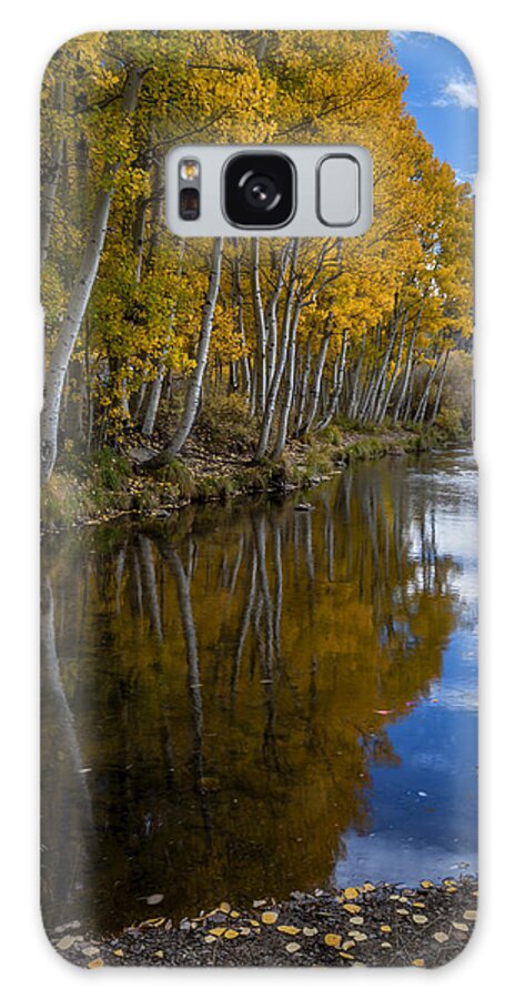 Trees Galaxy Case featuring the photograph Aspens Reflected by Cat Connor