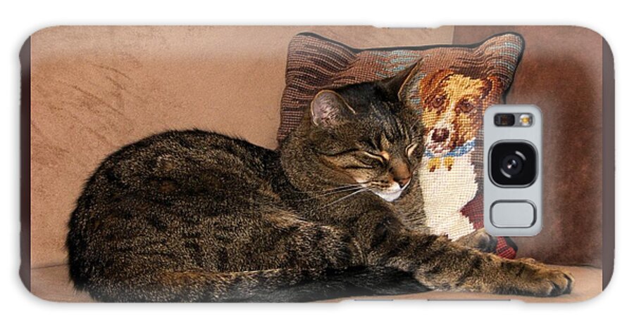 Tabby Cats Galaxy Case featuring the photograph At Least One Thing Dogs are Good For by Angela Davies