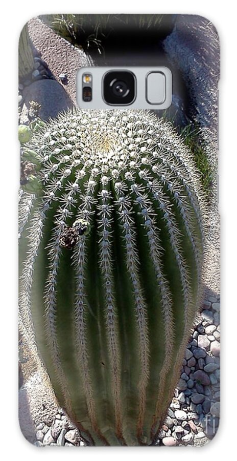 Cactus Galaxy Case featuring the photograph At the top by Pamela Henry