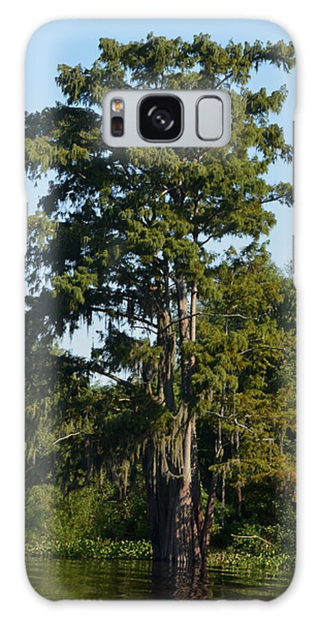Tree Galaxy Case featuring the photograph Atchafalaya Basin 11 Southern Louisiana by Maggy Marsh