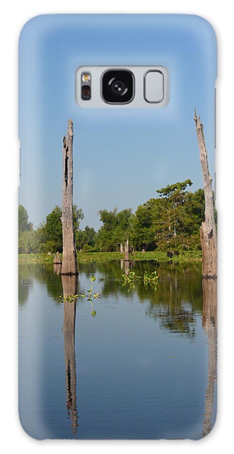 Tree Galaxy Case featuring the photograph Atchafalaya Basin 19 Southern Louisiana by Maggy Marsh