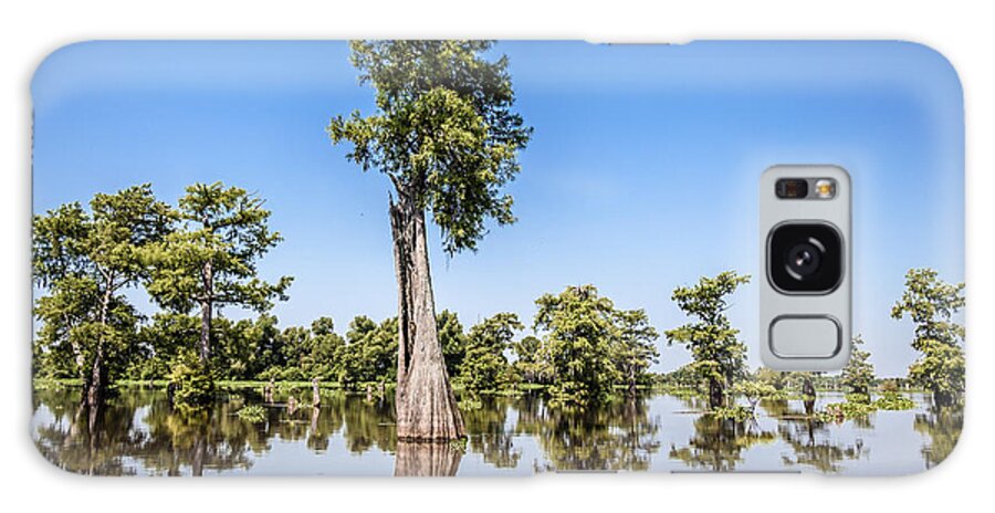 3 Nd Nature Galaxy Case featuring the photograph Atchafalaya Cypress Tree by Gregory Daley MPSA