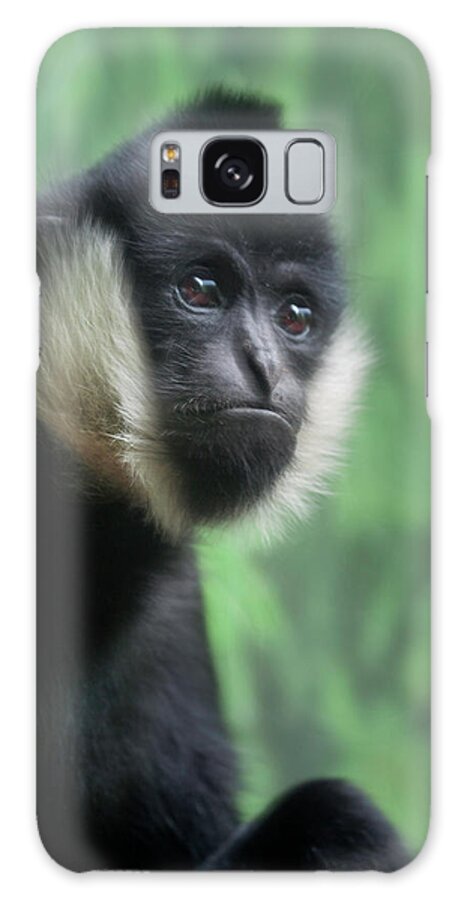 Animal Galaxy Case featuring the photograph Attitude by Jacqui Boonstra