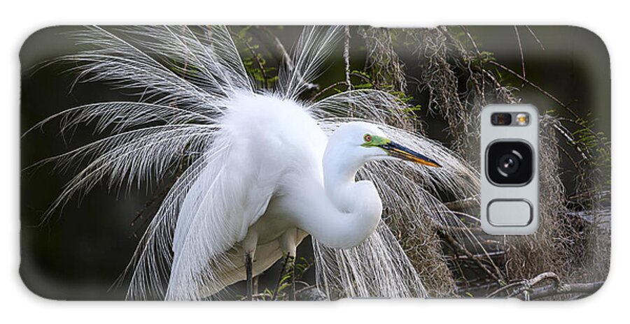 Great Egret Galaxy Case featuring the photograph Attraction by Jim Miller