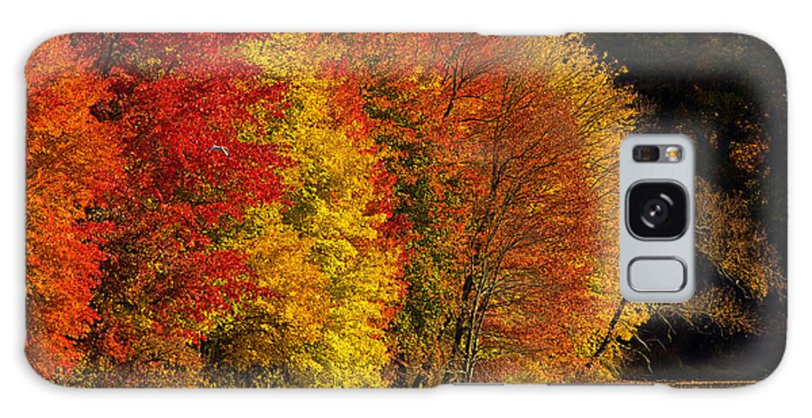Fall Foliage Galaxy Case featuring the photograph Autumn Afternoon at the Cove by William Jobes