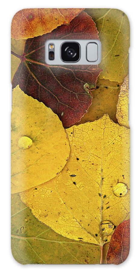 Colorado Galaxy Case featuring the photograph Autumn Aspen Leaves by Joseph Rossbach
