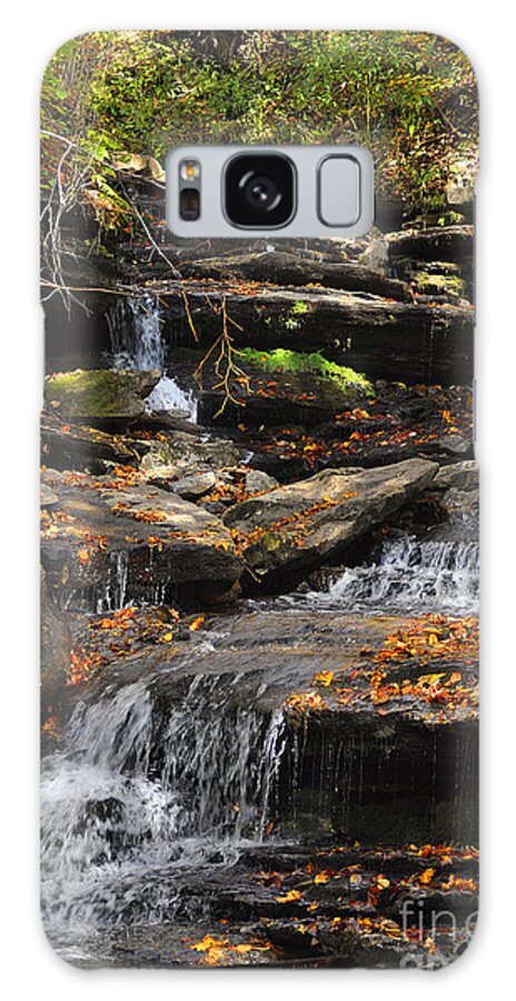 Diane Berry Galaxy Case featuring the photograph Autumn Brook by Diane E Berry