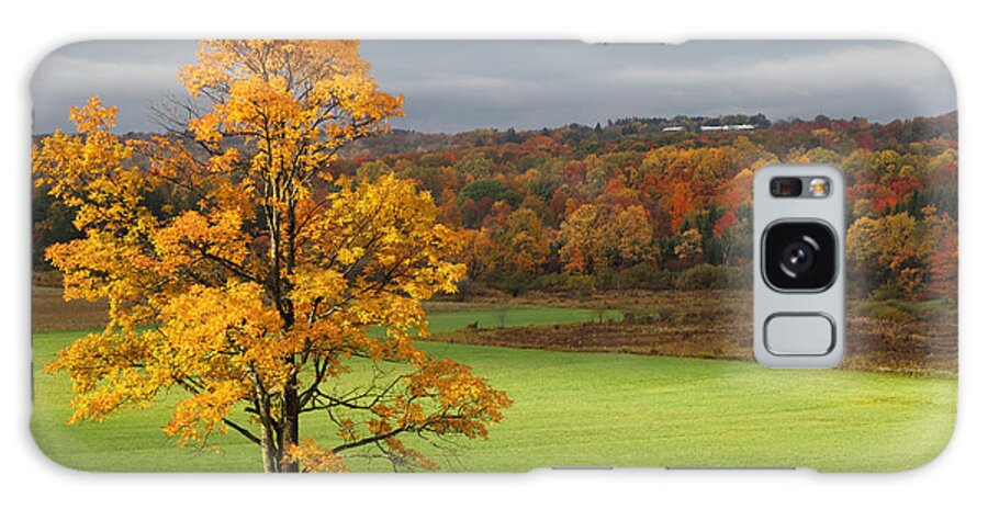 Autumn Galaxy S8 Case featuring the photograph Autumn Colors by Robert Och
