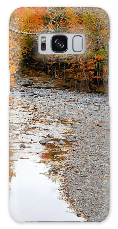 Autumn Creek Galaxy Case featuring the painting Autumn creek 9 by Jeelan Clark