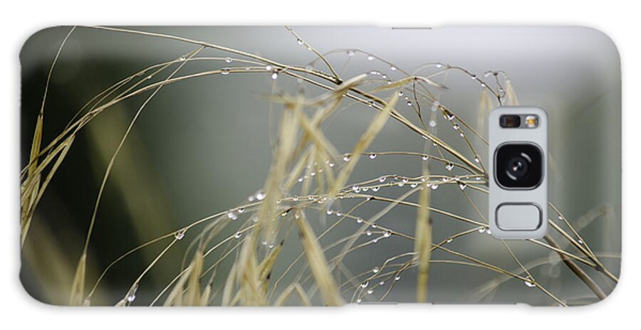 Autumn Galaxy Case featuring the photograph Autumn dew on grass by Spikey Mouse Photography