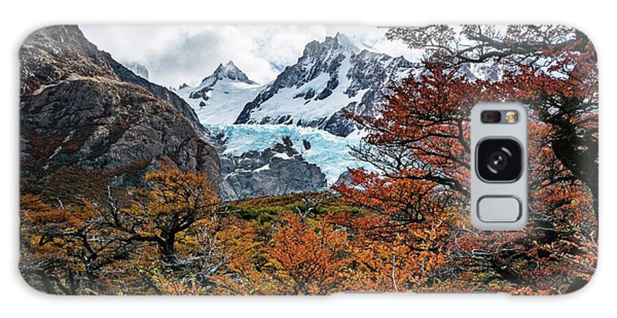Landscape Galaxy Case featuring the photograph Autumn in Patagonia by Ryan Weddle