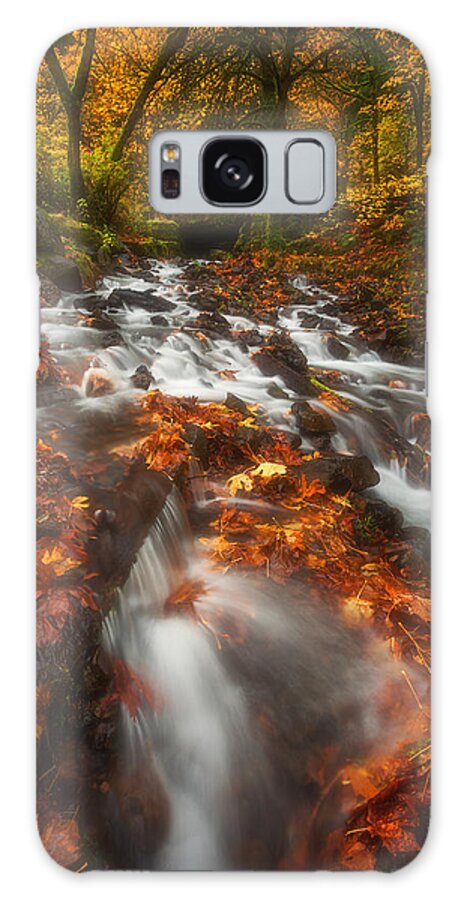 Fall Galaxy Case featuring the photograph Autumn in the Gorge by Darren White
