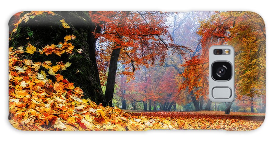 Autumn Galaxy Case featuring the photograph Autumn In The Woodland by Hannes Cmarits