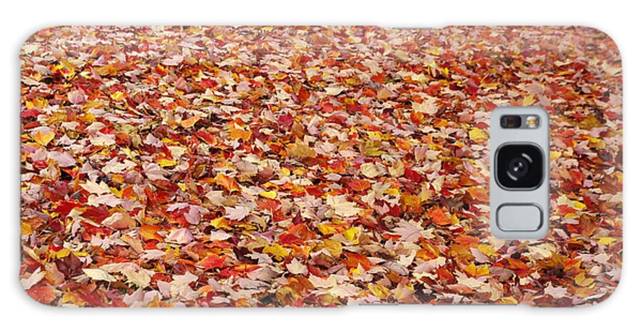 Autumn Galaxy Case featuring the photograph Autumn Leaves by Marilyn Wilson