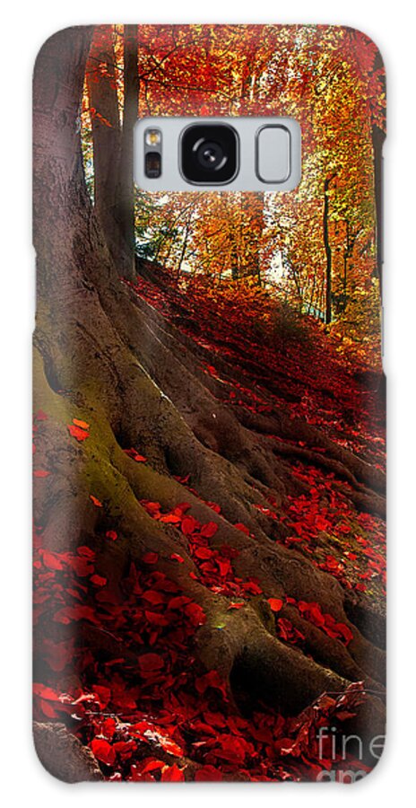 Autumn Galaxy Case featuring the photograph Autumn Light by Hannes Cmarits