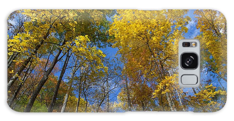 Fall Foliage Galaxy Case featuring the photograph Autumn Majesty by Kevin Craft