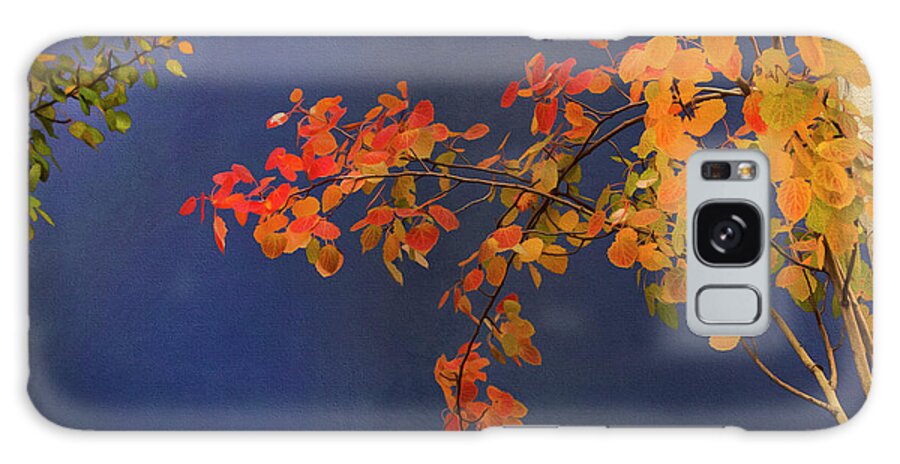 Trees Galaxy Case featuring the photograph Autumn Matinee by Theresa Tahara