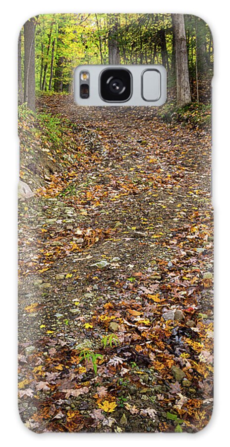 Autumn Pathway Galaxy Case featuring the photograph Autumn Pathway by Dale Kincaid