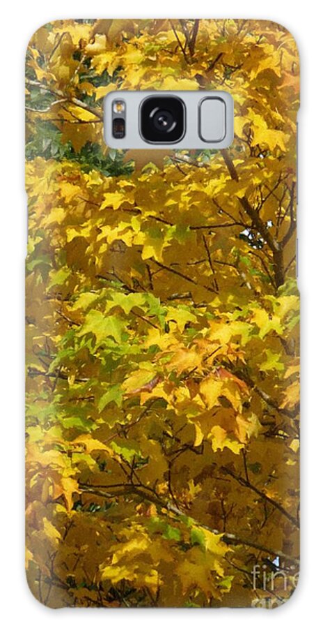 Autumn Galaxy Case featuring the photograph Autumnal Leaves and Trees 1 by Jean Bernard Roussilhe