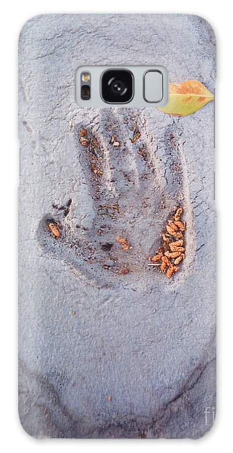  Galaxy Case featuring the photograph Autumns Child or Hand in Concrete by Heather Kirk
