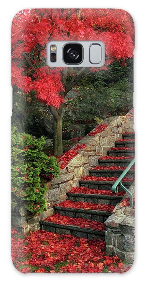 Autumn Galaxy Case featuring the photograph Autumn's Remains by Jessica Jenney