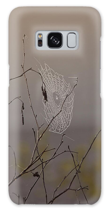 Spider Web Galaxy Case featuring the photograph Autumns Web by Sue Capuano