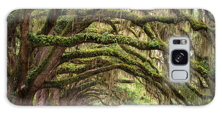 Charleston Sc Galaxy Case featuring the photograph Avenue of Oaks - Charleston SC Plantation Live Oak Trees Forest Landscape by Dave Allen