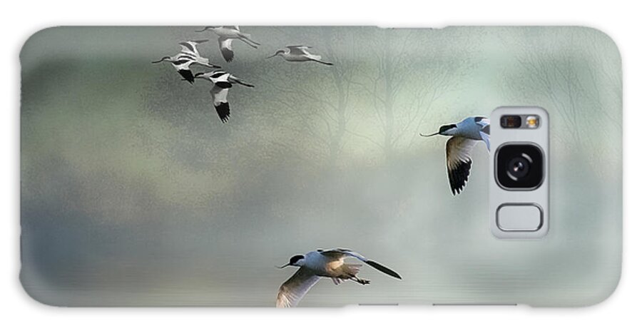 Avocets Galaxy Case featuring the photograph Avocet Dawn by Brian Tarr