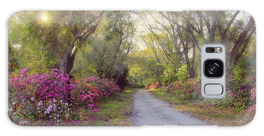 Azalea Galaxy Case featuring the photograph Azalea Lane by H H Photography of Florida by HH Photography of Florida