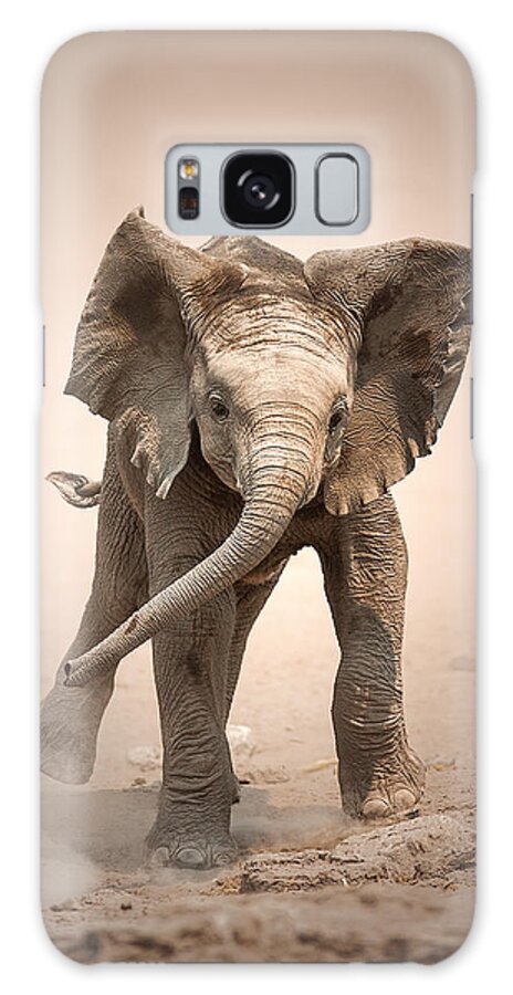 Elephant Galaxy Case featuring the photograph Baby Elephant mock charging by Johan Swanepoel